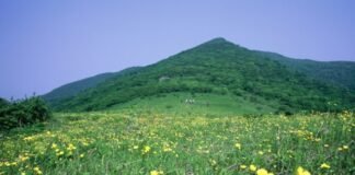 (주말여행) 천상의 화원 곰배령 – 대한민국에서 가장 아름다운 길