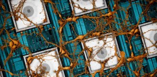 삼성전자, 뇌를 닮은 차세대 뉴로모픽 반도체 비전 제시