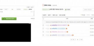 성인용 게임 파일로 위장한 디도스 악성코드 주의 당부