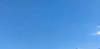 30년 과수원 농사지으며 나눔 봉사 실천하던 65세 권태숙 씨, 뇌사장기기증으로 4명 생명 살려