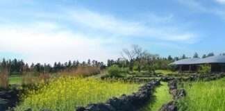 제주 포도호텔, 3월 새 단장 맞아 기간 한정 ‘PODO DAY’ 특가 패키지 출시