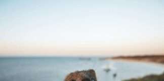 호주관광청, 세계 야생 동식물의 날 맞아 호주 야생동물 체험 여행지 6선 공개