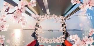 새로워진 하늘길로 봄을 알리다… 제부도해상케이블카 서해랑, 봄맞이 리뉴얼 진행