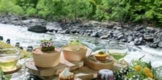 호시노 리조트 오이라세계류 호텔, 오감으로 느끼는 ‘봄 오이라세 신록 애프터눈 티 이벤트’ 개최