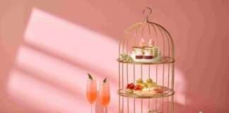 향긋한 애프터눈 티 세트와 즐기는 봄날의 여유 조선 팰리스, ‘스프링 리추얼(Spring Ritual)’ 패키지 출시