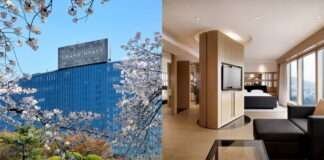 벚꽃보러 남산가자! 그랜드 하얏트 서울 호텔에서 즐기는 싱그러운 봄내음을 가득 담은 봄캉스