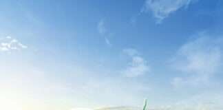 에미레이트 항공, A350 신규 도입으로 7개 노선 확대