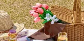 파라다이스 호텔 부산, ‘스프링 피크닉’ 패키지 선봬