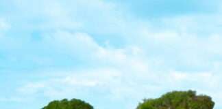 괌정부관광청, 본격적인 시니어 마켓 확대