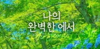 에어서울타고 만나는 다카마쓰 ‘세토우치 국제예술제’