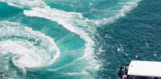 일본 시코쿠의 보물, 소도시 ‘도쿠시마’를 즐기는 6가지 방법 소개