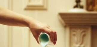 레스케이프, 웨지우드 협업 애프터눈 티 세트 ‘Afternoon Teatime in a Verdant Forest’ 출시