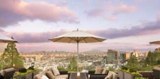 그랜드 하얏트 서울, 도심 속 자연을 담은 야외 테라스 카페 ‘갤러리 파티오’ 오픈 남산의 봄 풍경과 함께하는 여유로운 시간