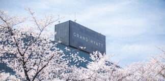 서울의 봄, 남산에서 피어나다 그랜드 하얏트 서울, 꽃길 따라 시작되는 도심 속 힐링