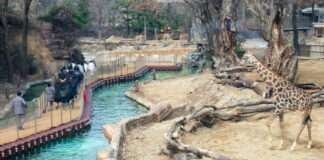 클룩, 에버랜드 ‘리버 트레일 어드벤처’ 외국인용 티켓 단독 판매