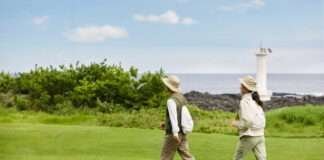 오름에 올라 제주의 봄 정취를 만끽해보세요~ 해비치 호텔앤드리조트 제주, ‘비 더 오르머’ 패키지 출시