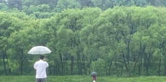 봄비 가득한 유불선 2박3일 여행