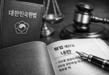 내란 특검 180일 ② ‘내란’이라는 죄명은 형법상 무엇을 의미하는가