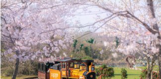 봄과 함께 에코랜드가 달린다… 트레일 런·공연·미식·체험·목장 리뉴얼까지 전면 개편