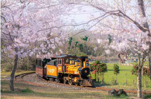 1935458770_20260224125155_8508209773