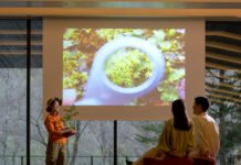 오이라세 계류 호텔 by 호시노 리조트, 겨울 빙폭 온천부터 다가오는 봄 이끼 체험까지 시즌 프로그램 선보여