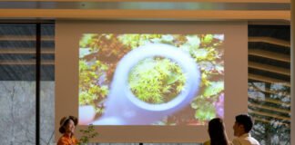 오이라세 계류 호텔 by 호시노 리조트, 겨울 빙폭 온천부터 다가오는 봄 이끼 체험까지 시즌 프로그램 선보여