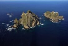 왜 지금 독도인가