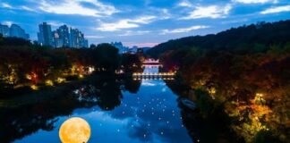 한국민속촌 야간개장, ‘살귀옥’·’조선살인수사’로 조선의 밤을 스릴로 물들이다